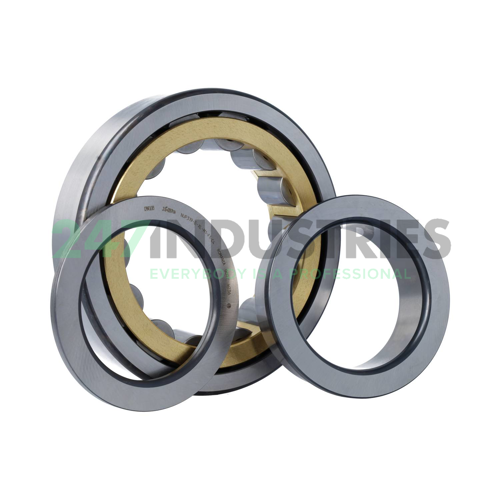 NUP319-E-XL-M1-F1-C4 FAG