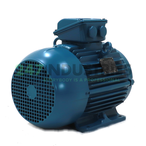 8K31AL0132M4/2B3 WEG Image 3