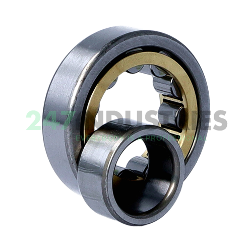 NU305EMCM NSK Image 3