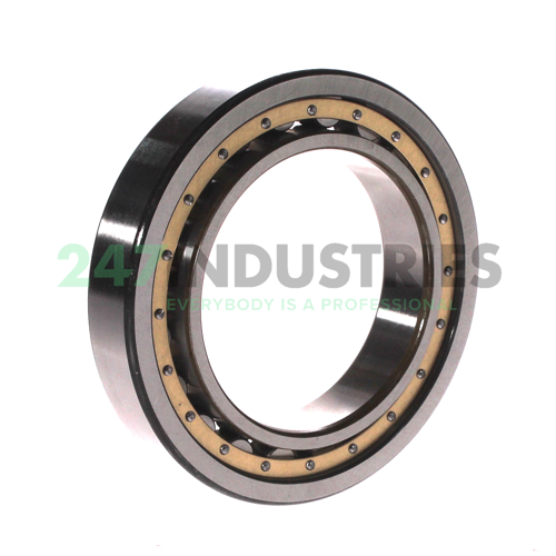 NU1014C3 NSK Image 2