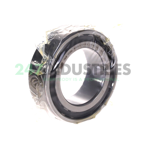 NN3009-D-TVP-SP-XL FAG