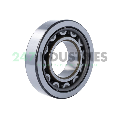 NU313WC3 NSK Image 2