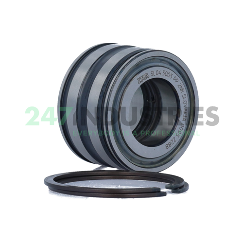 SL045005-PP-2NR INA