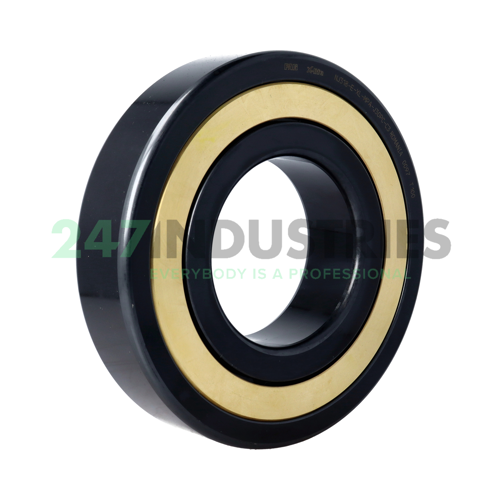 NJ318-E-XL-MPA-J30PC-C3 FAG