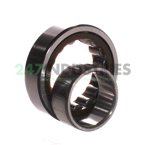 NU2209ETC3 NSK Image 3