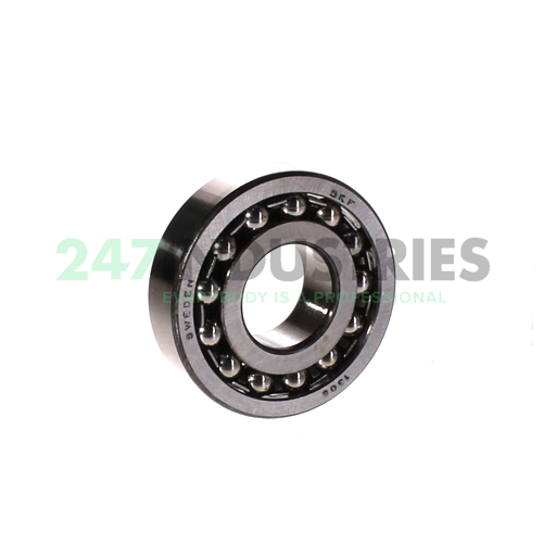 1306 SKF