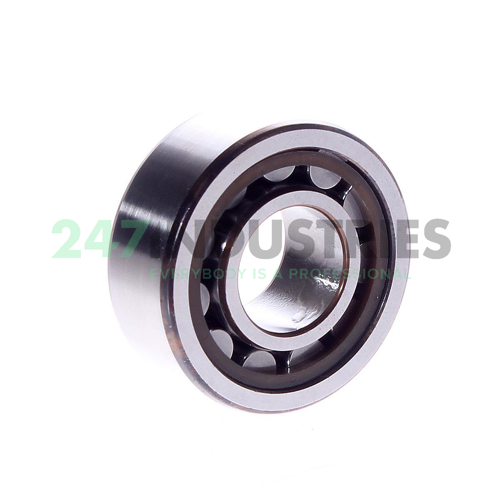 NJ2204ECP/C3 SKF Image 3