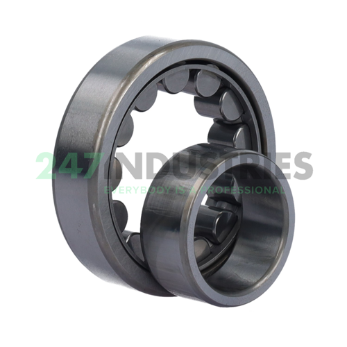 NU206EW NSK Image 3