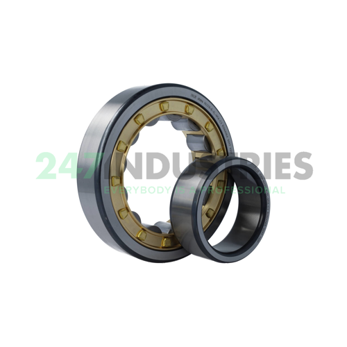 NU318-E-XL-M1A-C3 FAG Image 2