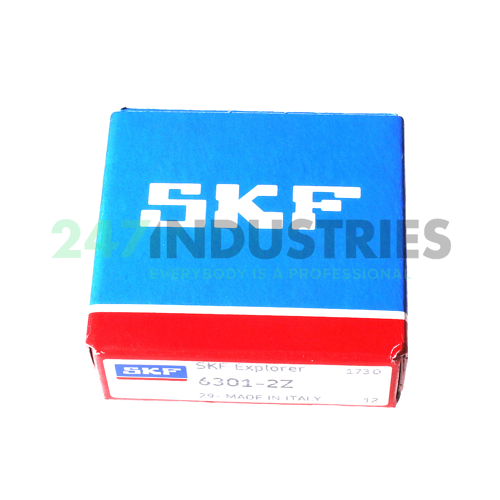 6301-2Z SKF Image 2