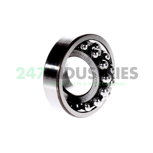 1308TNG C3 NSK Image 2