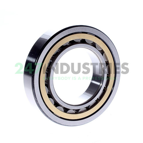NU211EM C3E NSK Image 3