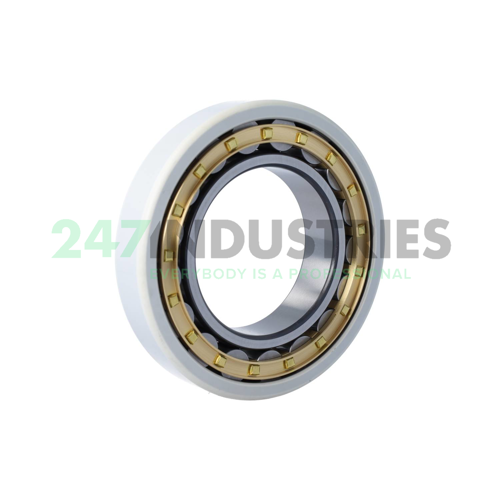 NU218-E-XL-M1-F1-J20AA-C3 FAG Image 2