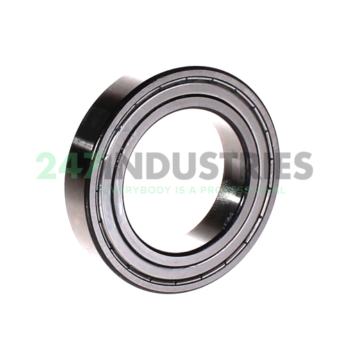 6010-2Z/C3GJN SKF Image 2