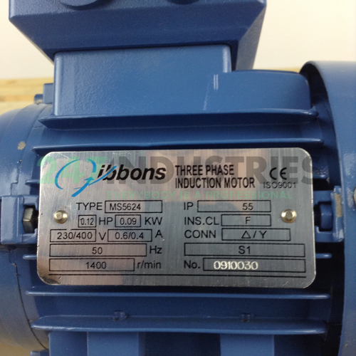 MS5624B34 Gibbons Image 2