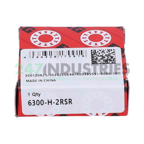 6300-H-2RSR FAG Image 3