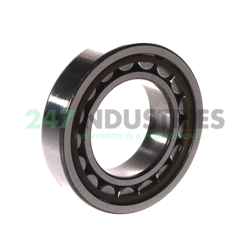 NU1007ECP SKF Image 2