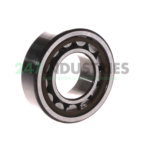 NJ205ECP/C3 SKF Image 2