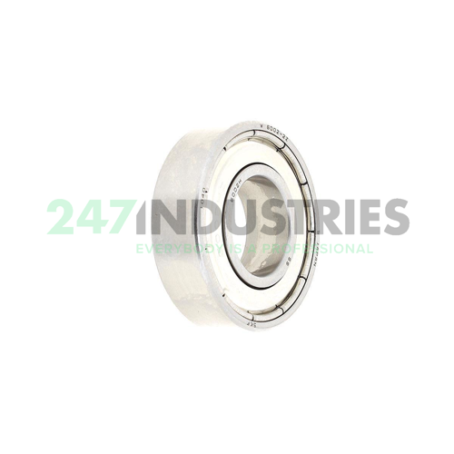 W6002-2Z SKF