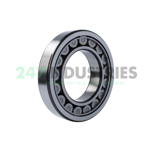 NU220ECJ SKF Image 2