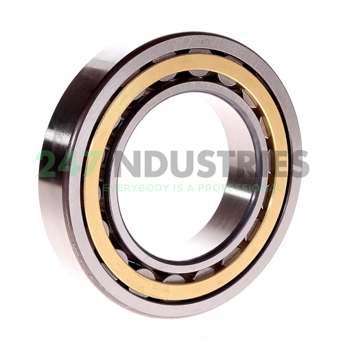 NU215-E-M1-P6-F1-C4 FAG Image 3