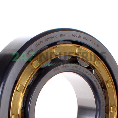 NU319-E-XL-M1-F1-C3 FAG Image 2