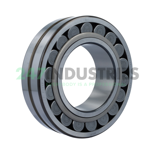 22222E SKF