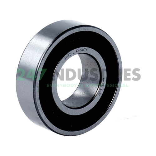 6003DDUCM NSK
