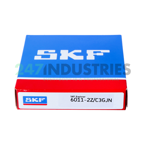 6011-2Z/C3GJN SKF Image 3