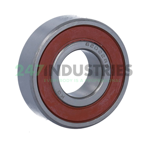 6202 2RS KG