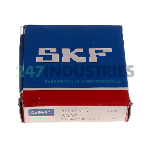 6007 SKF Image 2