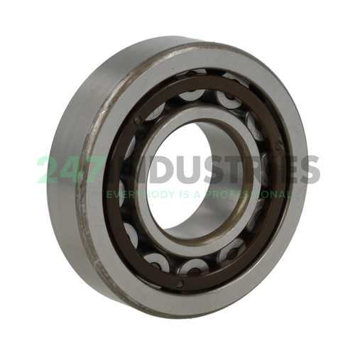 NU306EG C3 Nachi Image 2