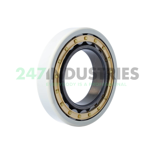 NU219-E-XL-M1-F1-J20AA-C3 FAG Image 2