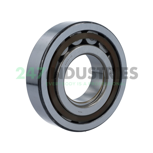 NUP313ET NSK Image 2