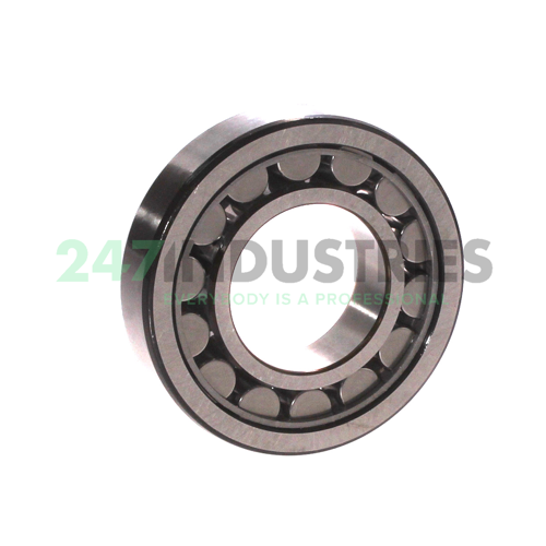 NJ207ECJ/C3 SKF Image 2