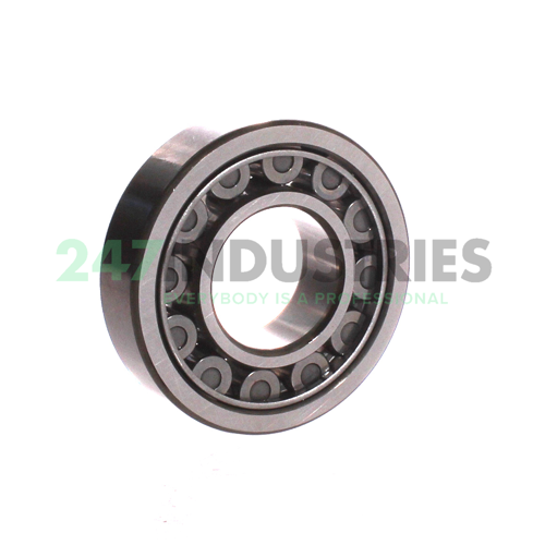 NU308EWC3 NSK Image 2