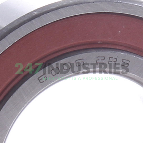 6006-2RS Bing Netherlands Image 2