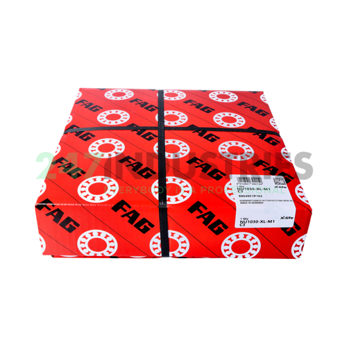 NU1030-XL-M1-C3 FAG Image 4