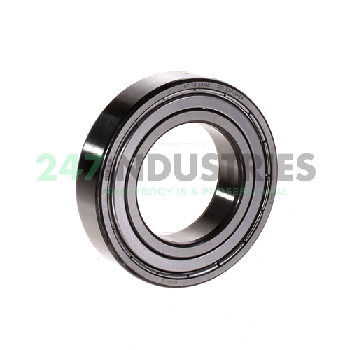 6007-Z SKF