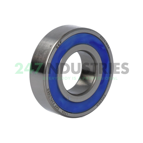6004/W64 SKF