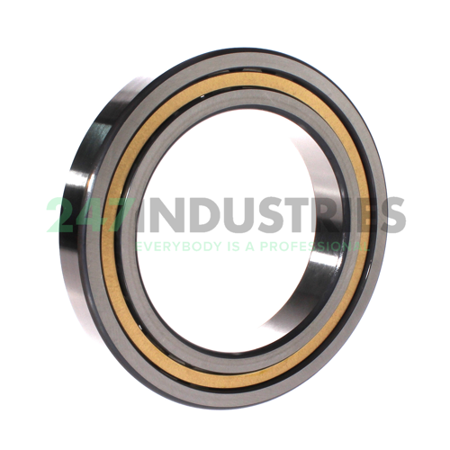 NJ1024-XL-M1-C3 FAG Image 2