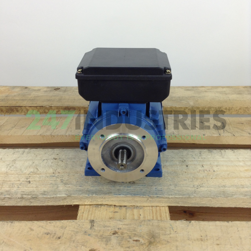 ML7114B34 Gibbons Image 4