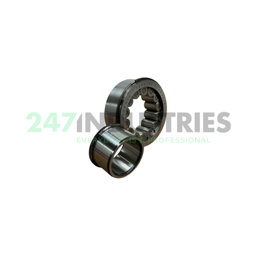 NJG2309NRVH/C5VB027 SKF Image 3