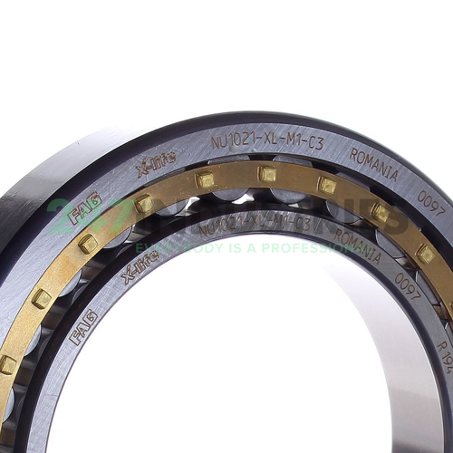 NU1021-XL-M1-C3 FAG Image 2