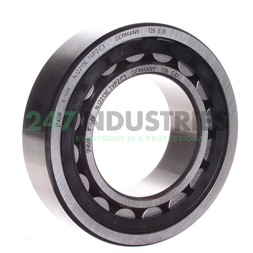 NJ2213-E-TVP2-C3 FAG