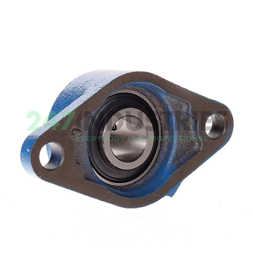 UCFLE204 SNR Image 2
