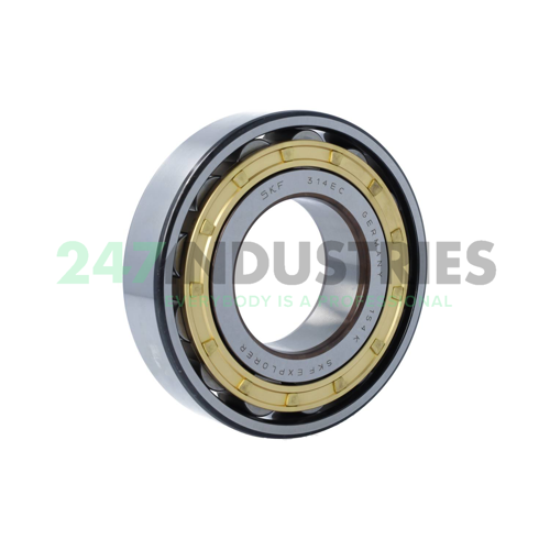 N314ECM SKF