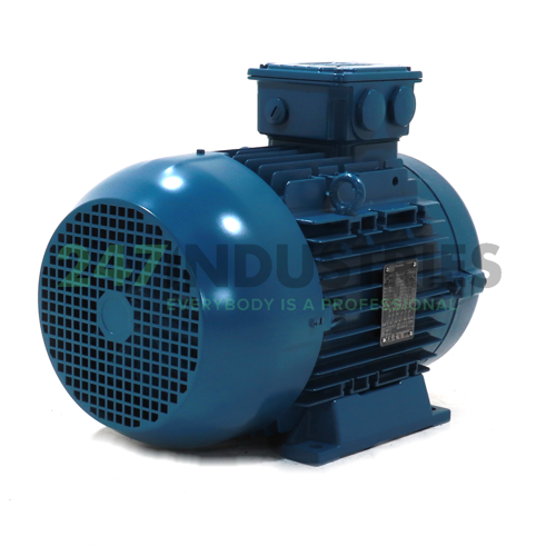 9.2K32AL3132M2B34 WEG Image 3