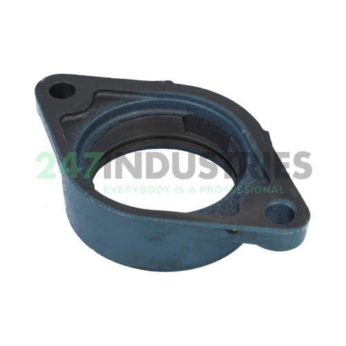 FT208K Asahi Image 2