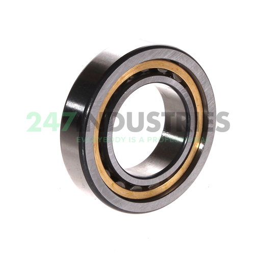 NU1006-XL-M1 FAG Image 2